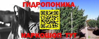 эйфоретик Комсомольск-на-Амуре