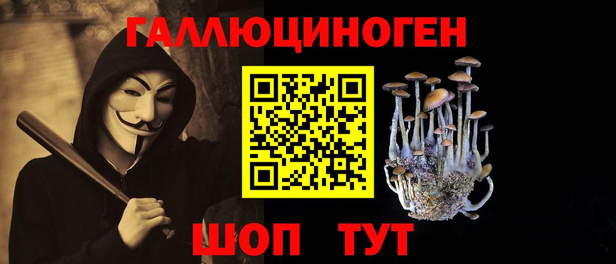 Псилоцибиновые грибы MAGIC MUSHROOMS Ейск