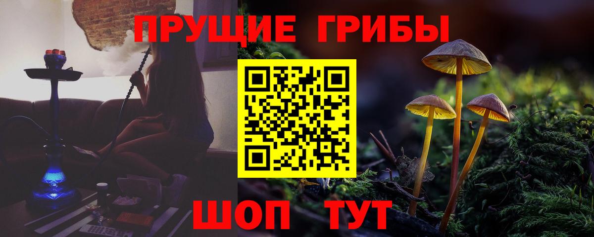 Псилоцибиновые грибы прущие грибы  Вход с VPN  Ейск 